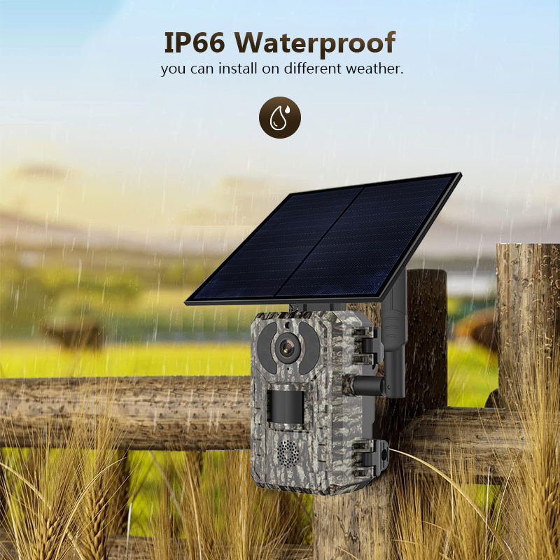 Hunting Outdoor Game - 4G 4mp Outdoor Wildlife Jacht Trail