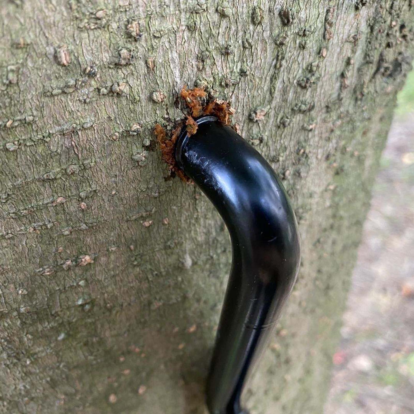Schroefbare boomklimtrappen me - Tree Stand Ladder recensie en prijs