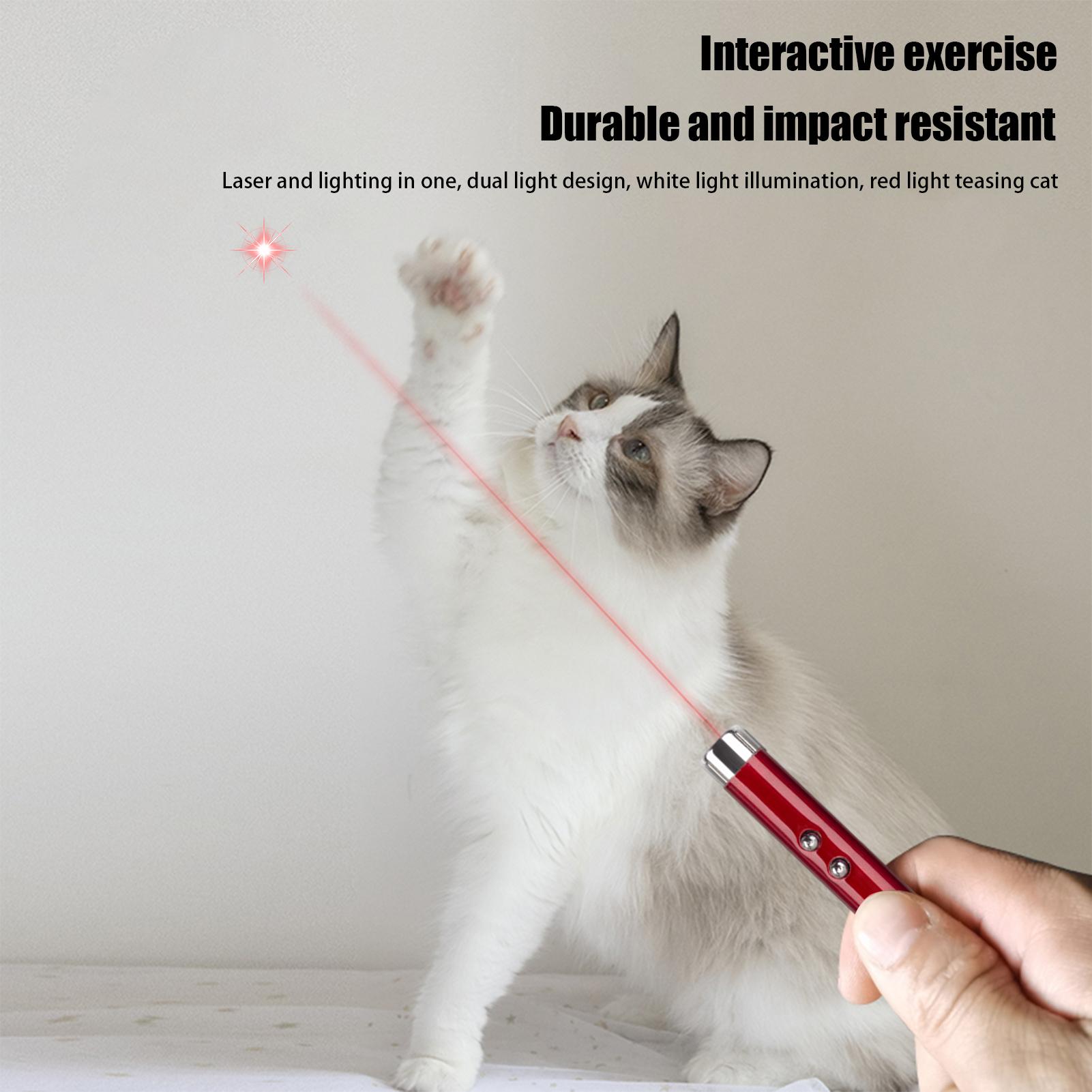 Jachtende katten speelgoed, ka - Trail Camera Infrared recensie en prijs