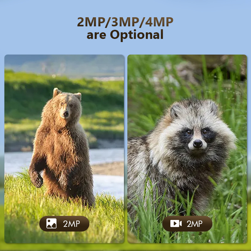 4G 4mp Outdoor Wildlife Jacht  - Hunting Outdoor Game recensie en prijs
